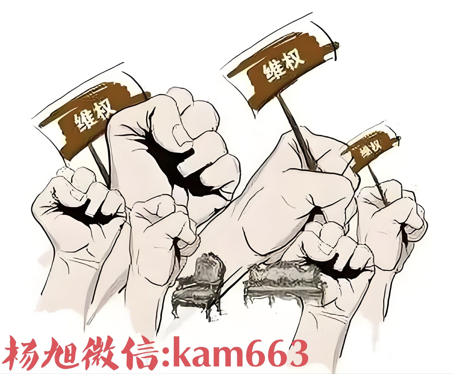 QQ圖片20240906232747