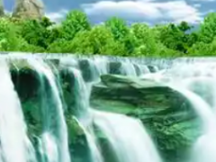(鎮(zhèn)宅樹(shù)有哪六大鎮(zhèn)宅樹(shù))南方排名第一最好的鎮(zhèn)宅樹(shù) 鎮(zhèn)宅樹(shù)有幾種樹(shù)